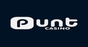 Punt Casino Medium Logo