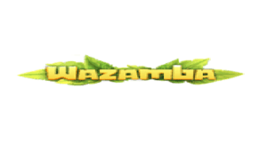 Wazamba medium logo